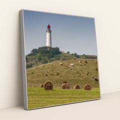 7090331385891 - Product Image