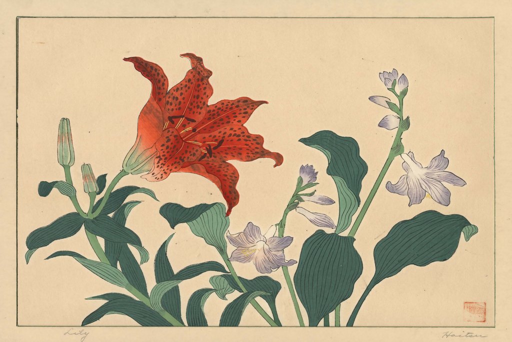 Sakai Hōitsu - Lily (1920s)
