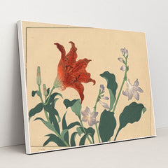 7074627223587 - Product Image