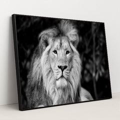 7082785472547 - Product Image