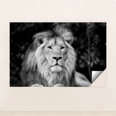 7082785472547 - Product Image