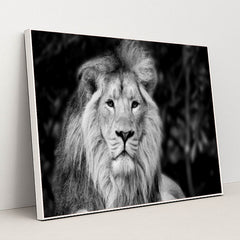 7082785472547 - Product Image