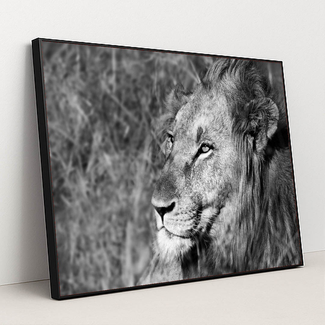 7082784981027 - Product Image