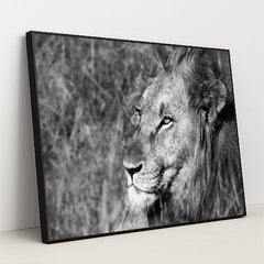 7082784981027 - Product Image