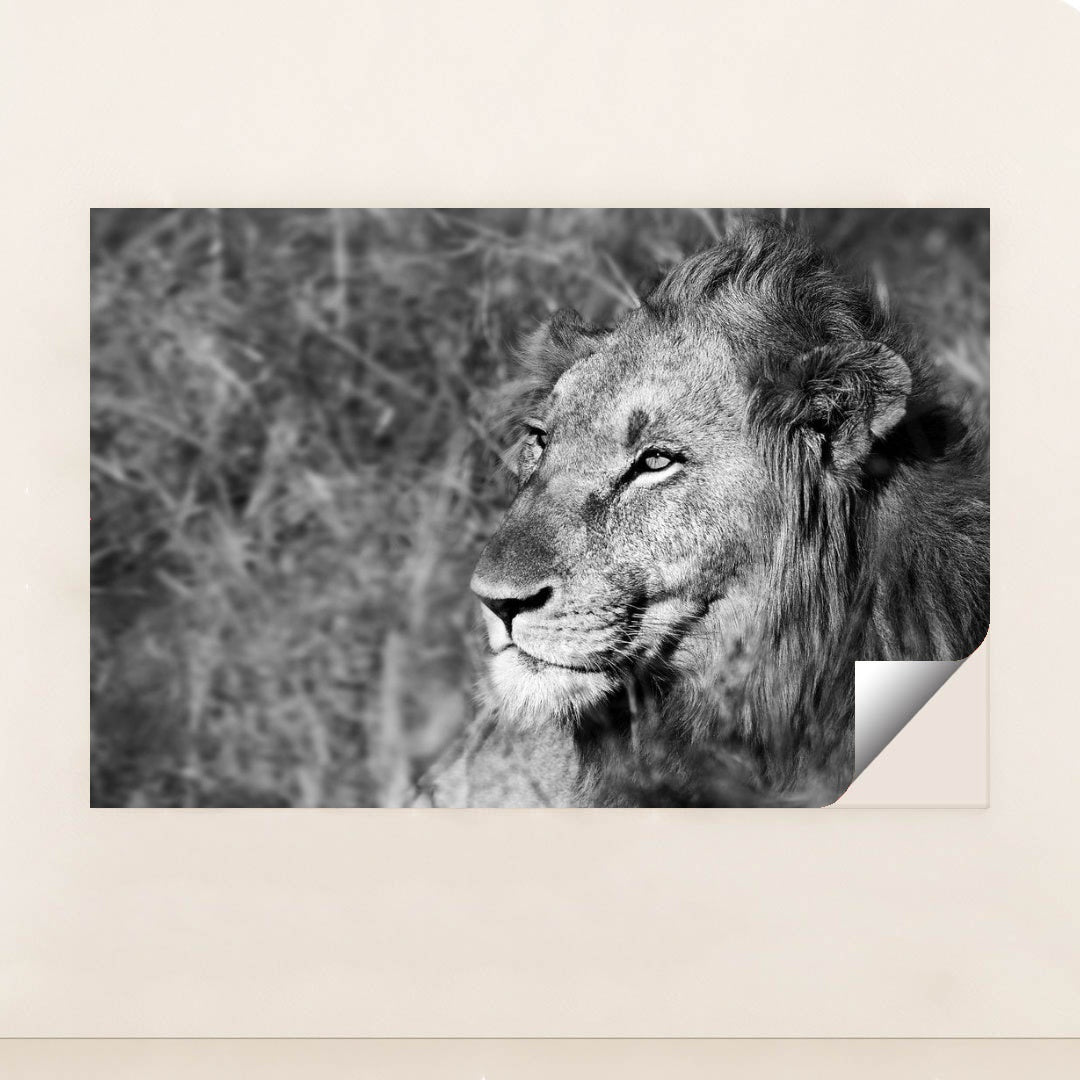 7082784981027 - Product Image