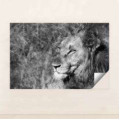 7082784981027 - Product Image