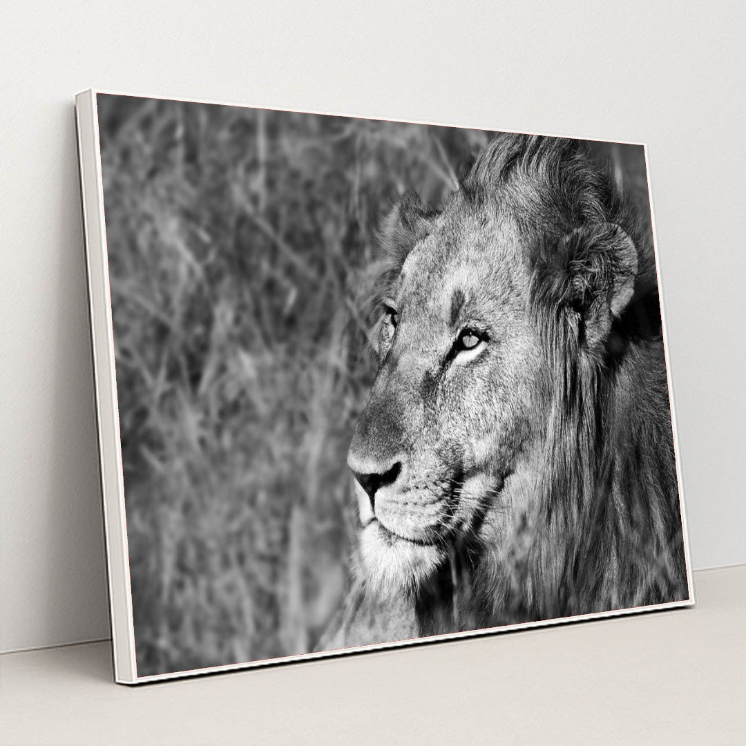 7082784981027 - Product Image