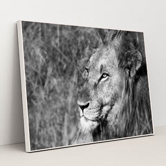 7082784981027 - Product Image