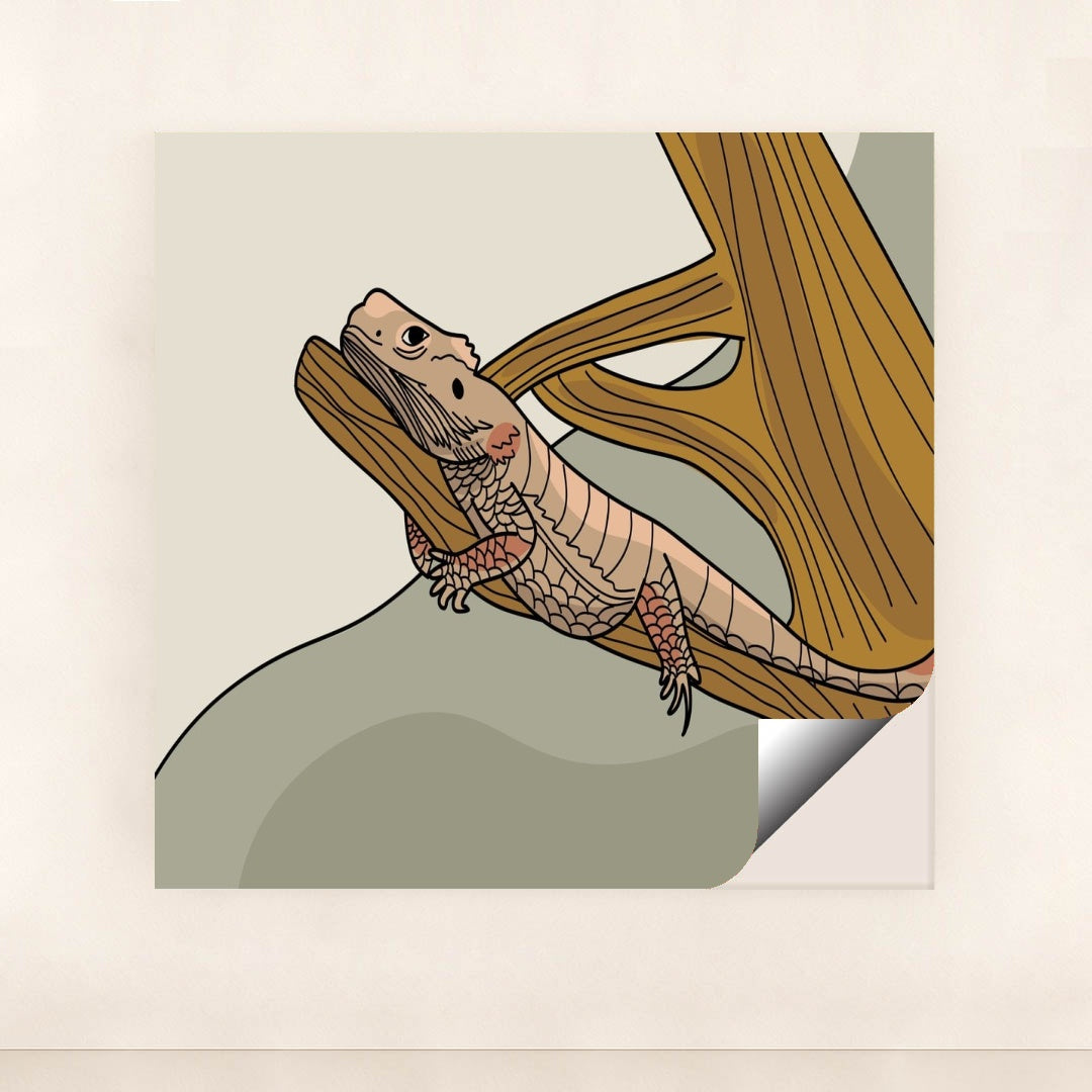 7102404853795 - Product Image