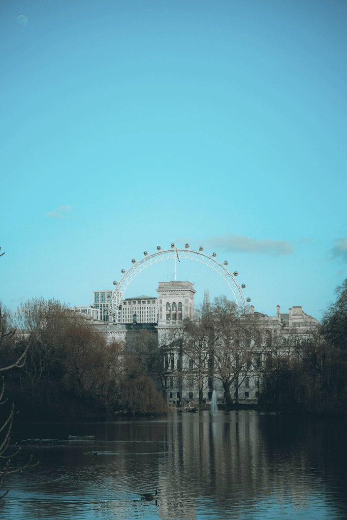 Sebastiaan Stam - A captivating view of the London Eye with St James Park waterfront and a clear blue sky.
