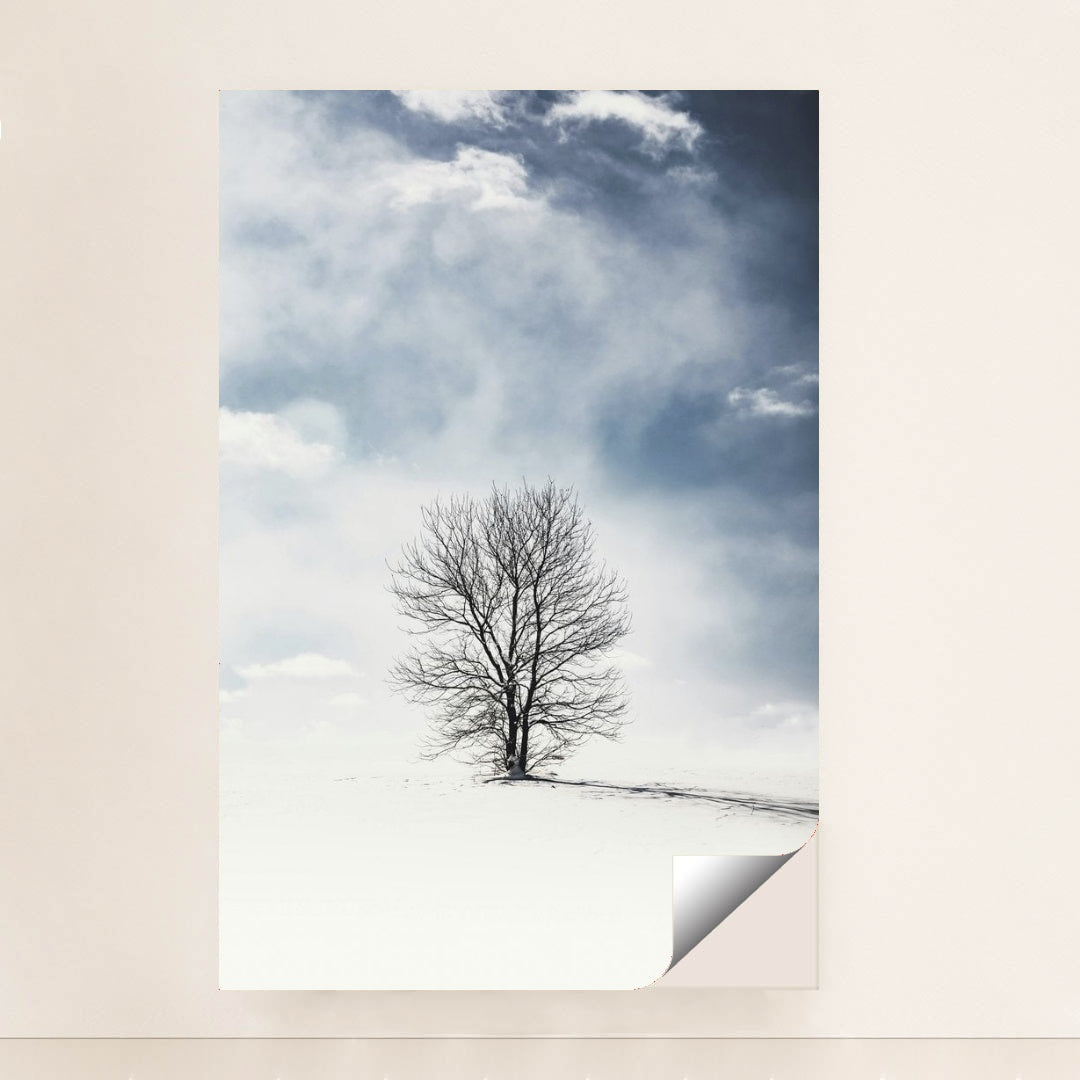 7090330566691 - Product Image