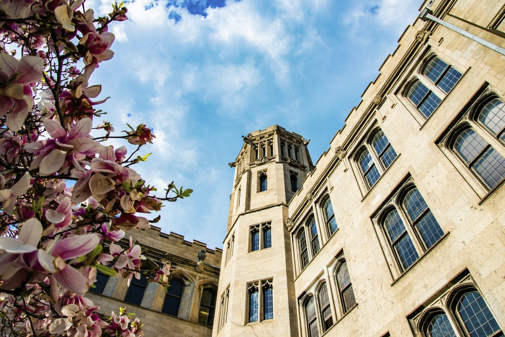 Dan Fuhrman - Low angle view of stunning gothic architecture adorned by blossoming magnolia flowers under a blue sky.