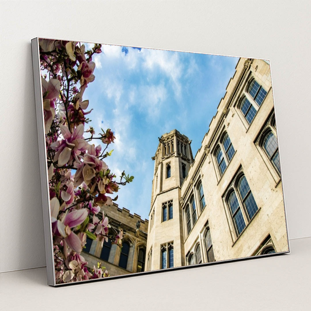 7090351996963 - Product Image