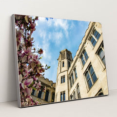 7090351996963 - Product Image