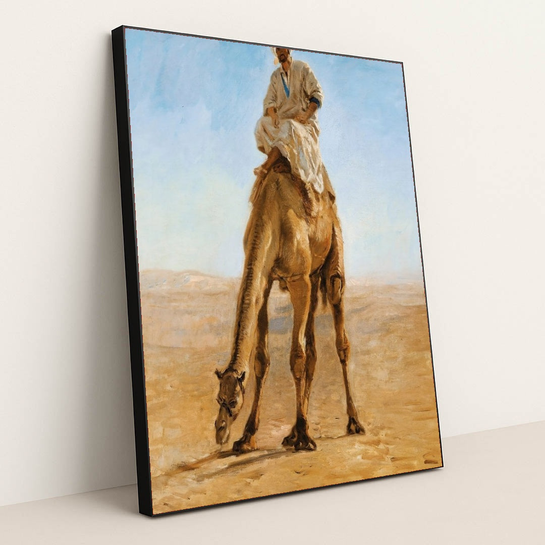 7074628501539 - Product Image