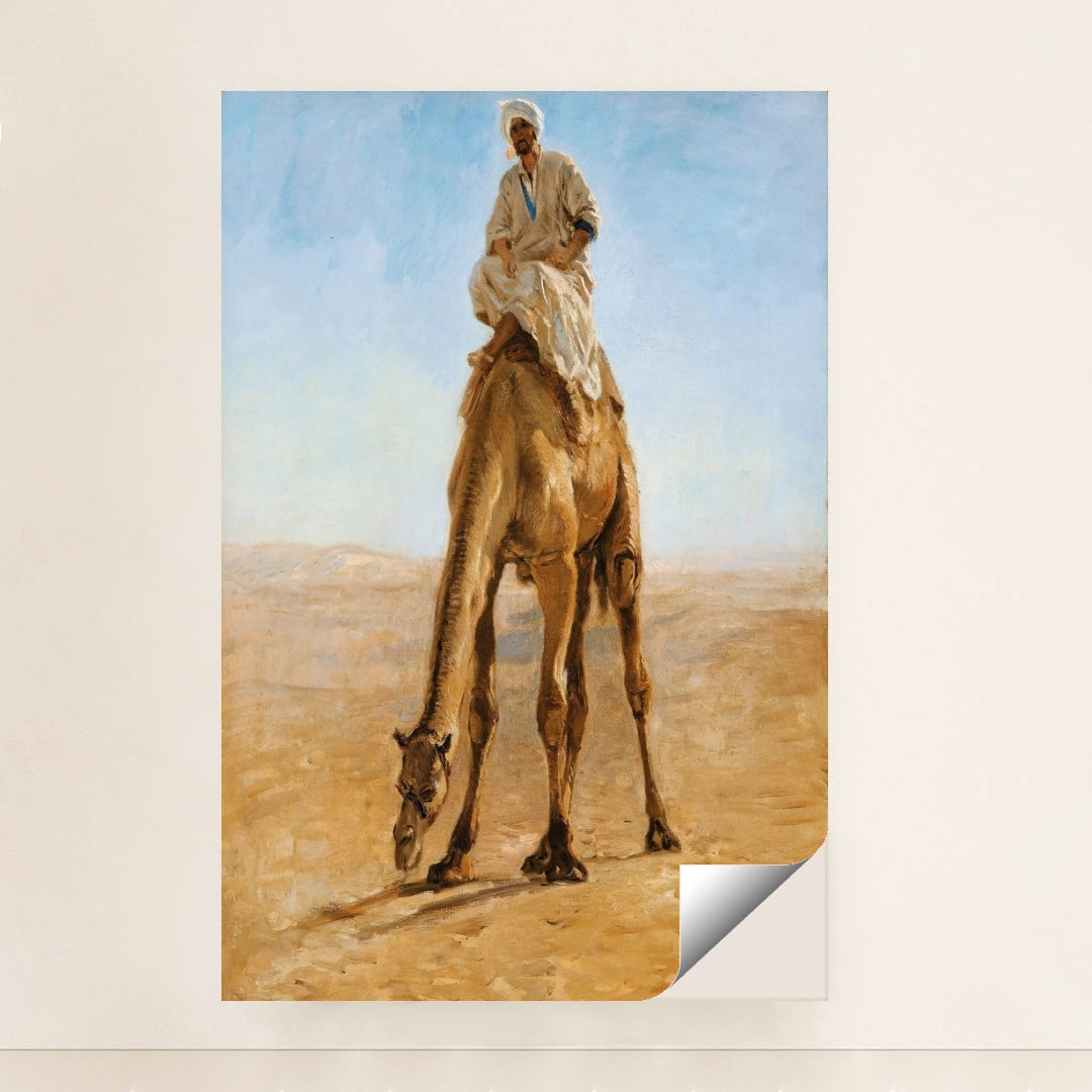 7074628501539 - Product Image