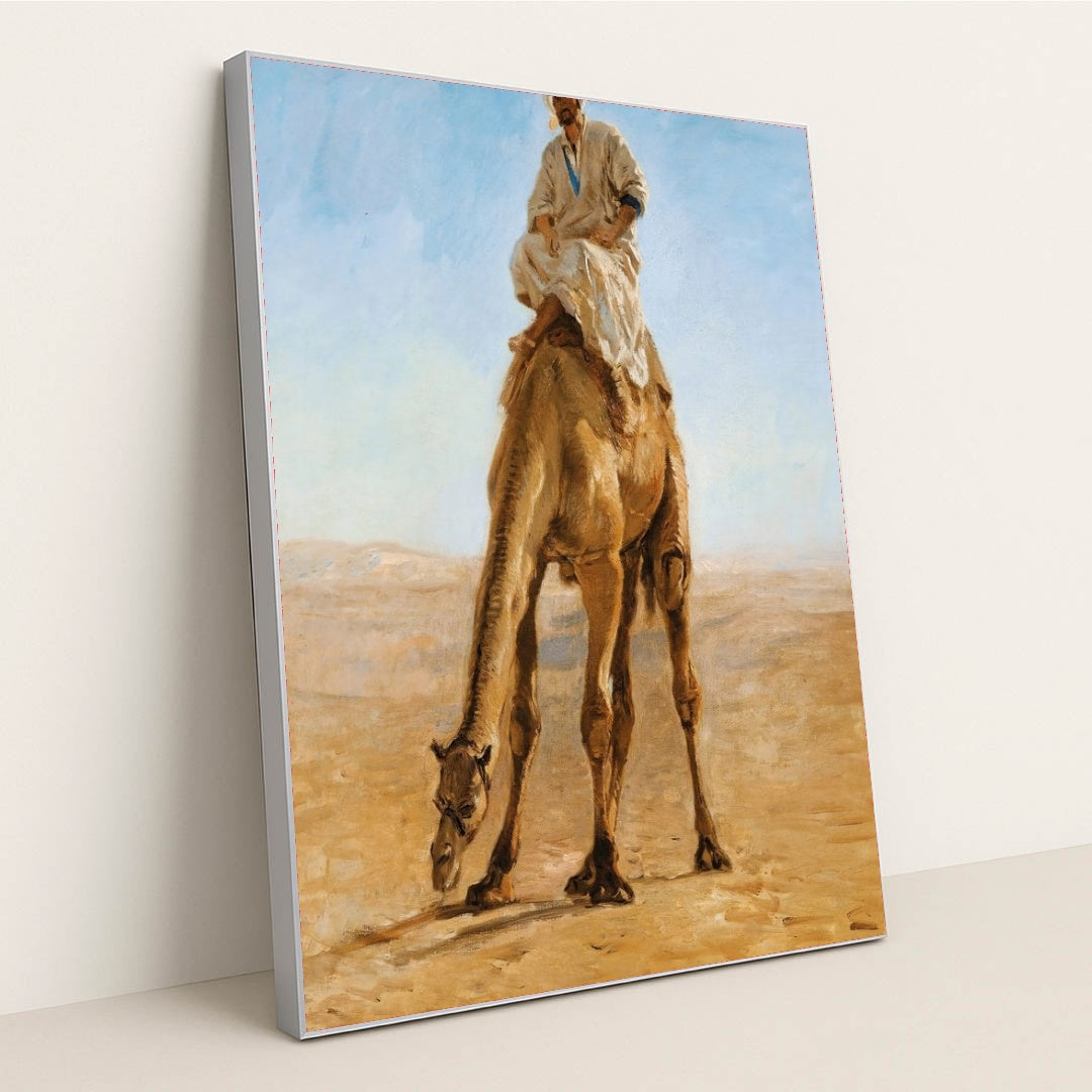 7074628501539 - Product Image