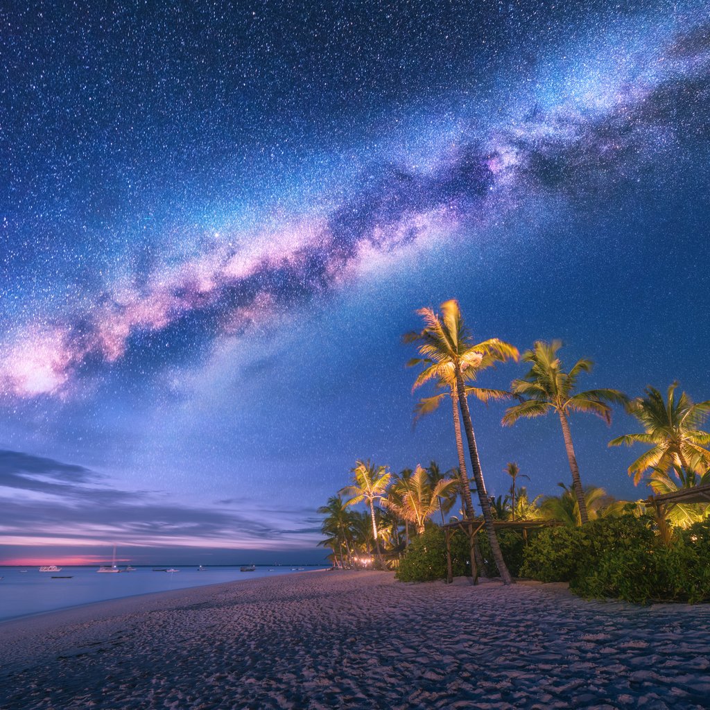 Stock Photos - Milky Way over the sandy beach with palm trees and sunbeds and umbrellas at night in summer. Landscape with sea shore, beautiful starry sky, galaxy and green palms. Travel in Zanzibar, Africa. Space
