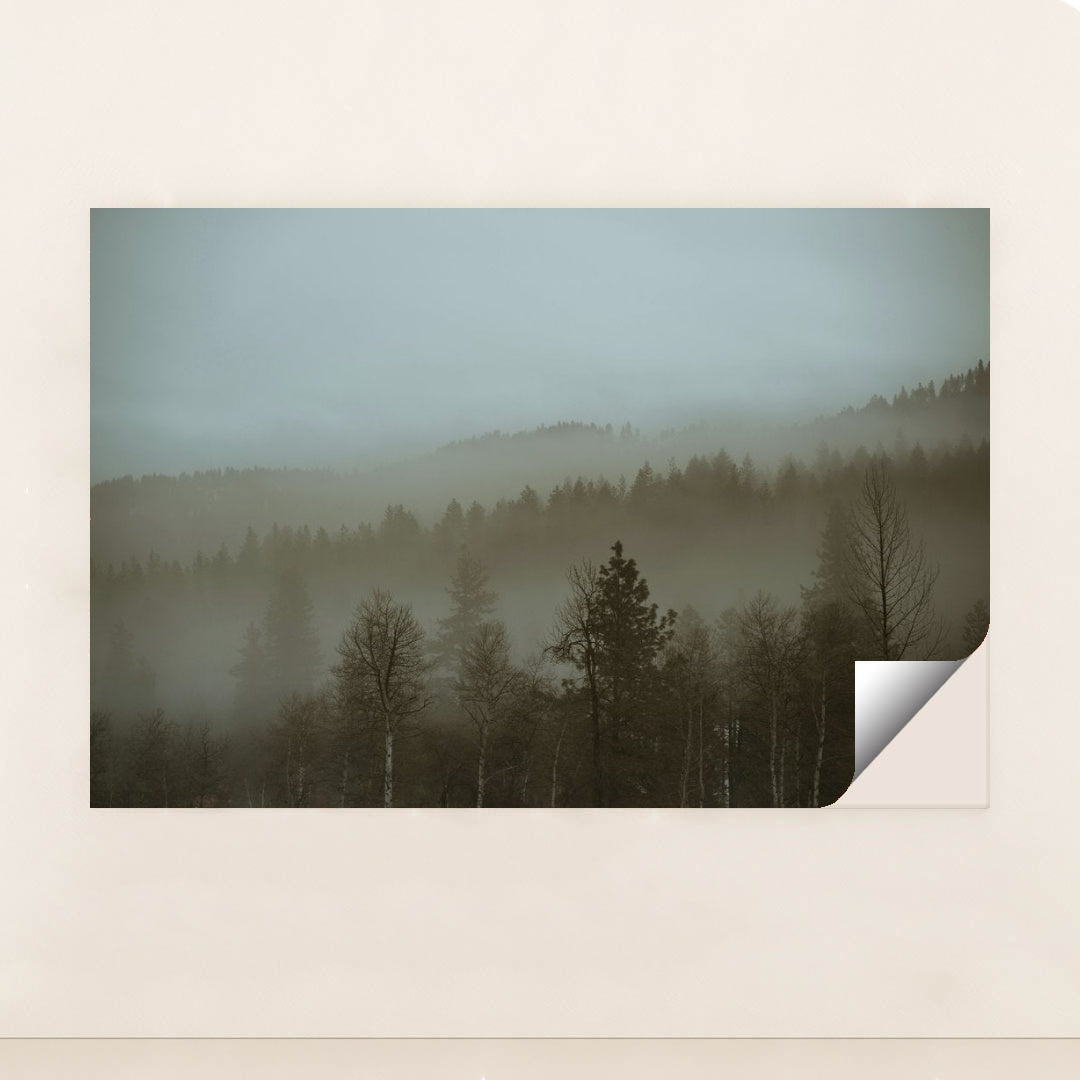 7090350293027 - Product Image