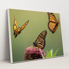 7090296651811 - Product Image