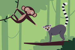Andania Humaira - A monkey and a lemur hanging from a tree