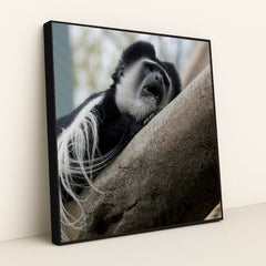 7090342494243 - Product Image