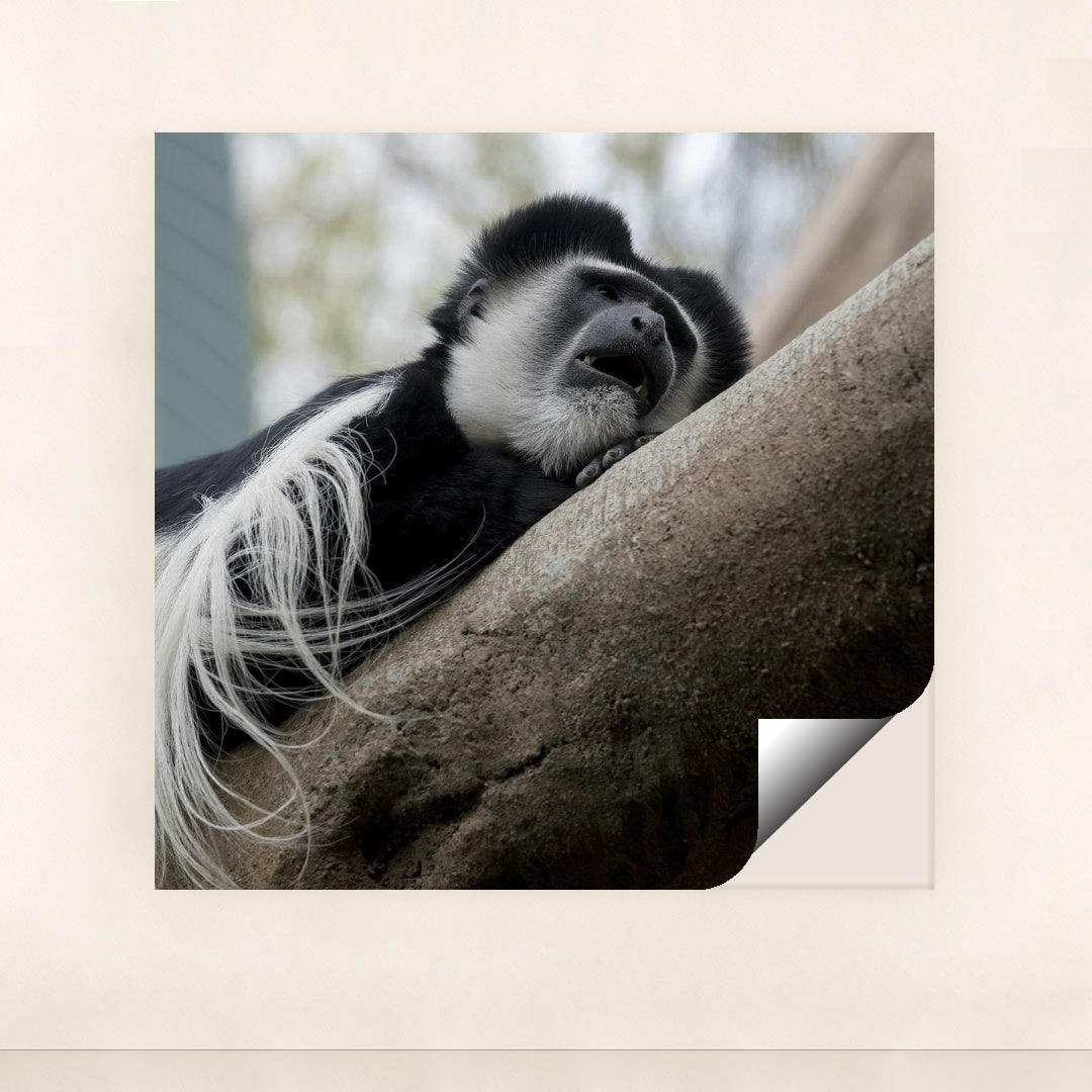 7090342494243 - Product Image