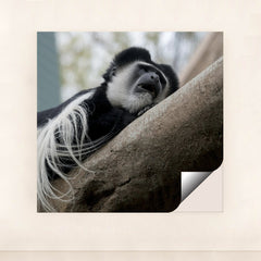 7090342494243 - Product Image