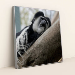 7090342494243 - Product Image