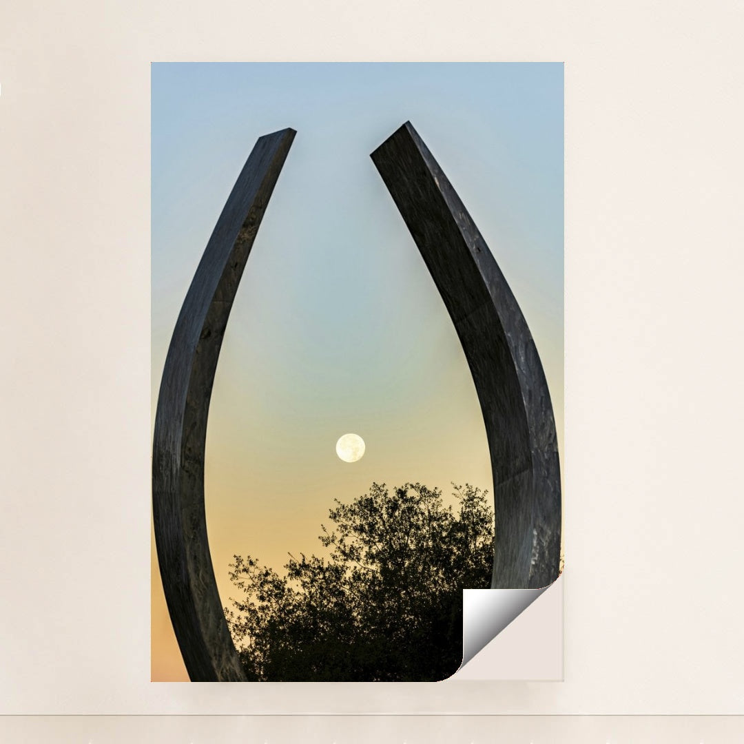 7090697273379 - Product Image