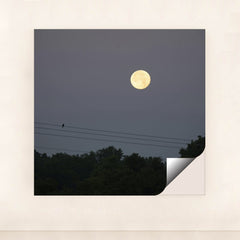 7090691702819 - Product Image