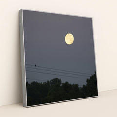 7090691702819 - Product Image