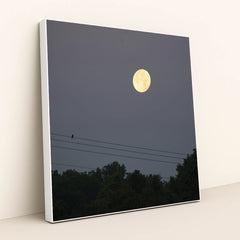 7090691702819 - Product Image