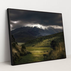 7090387517475 - Product Image