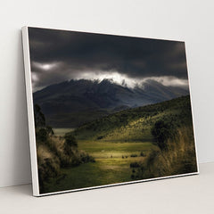 7090387517475 - Product Image