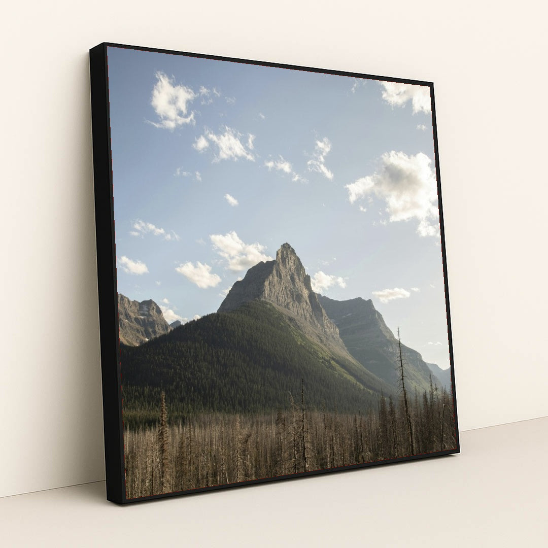 7090343149603 - Product Image