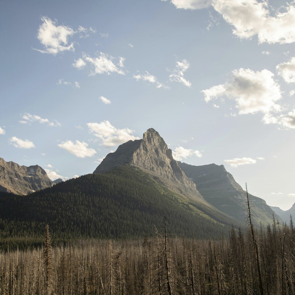 John De Leon - Breathtaking view of a mountain peak surrounded by a forest under a bright sky in Montana.