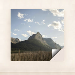 7090343149603 - Product Image