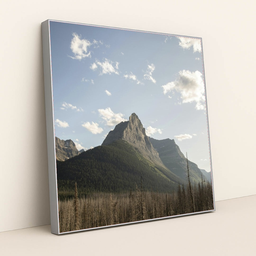 7090343149603 - Product Image