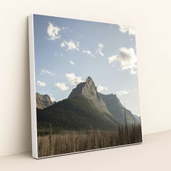 7090343149603 - Product Image