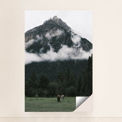 7090804260899 - Product Image