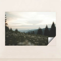 7090224332835 - Product Image