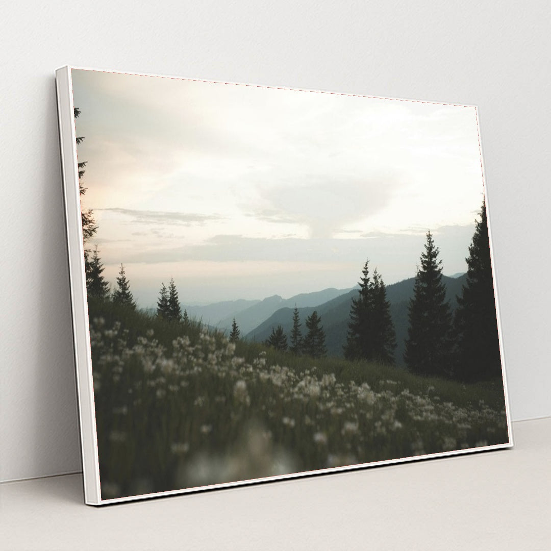 7090224332835 - Product Image