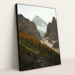 7090783322147 - Product Image