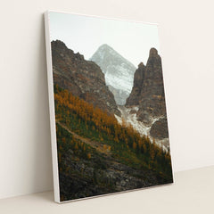 7090783322147 - Product Image