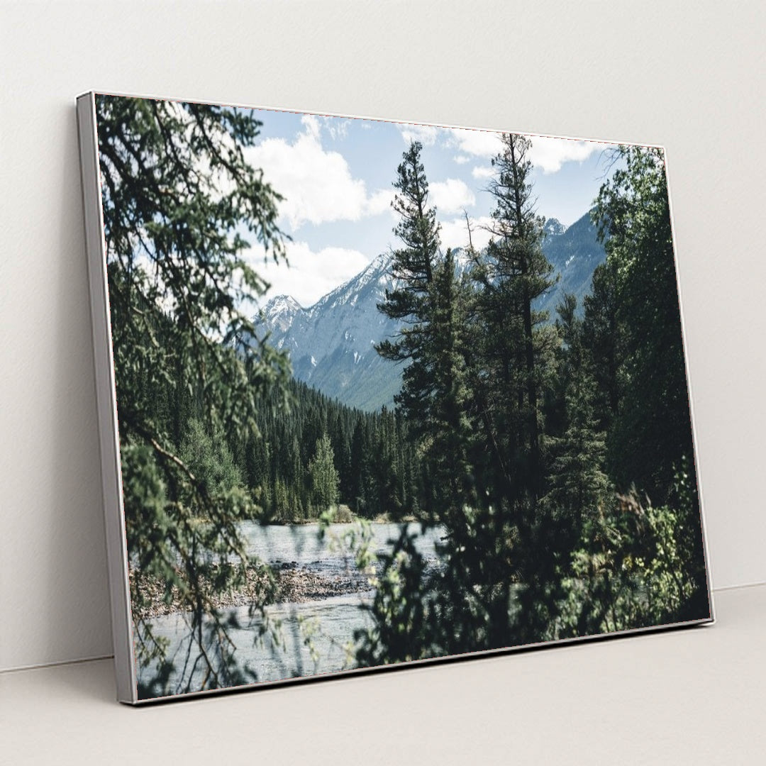 7090384142371 - Product Image