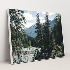 7090384142371 - Product Image