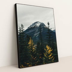 7090801475619 - Product Image