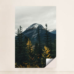 7090801475619 - Product Image