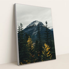 7090801475619 - Product Image